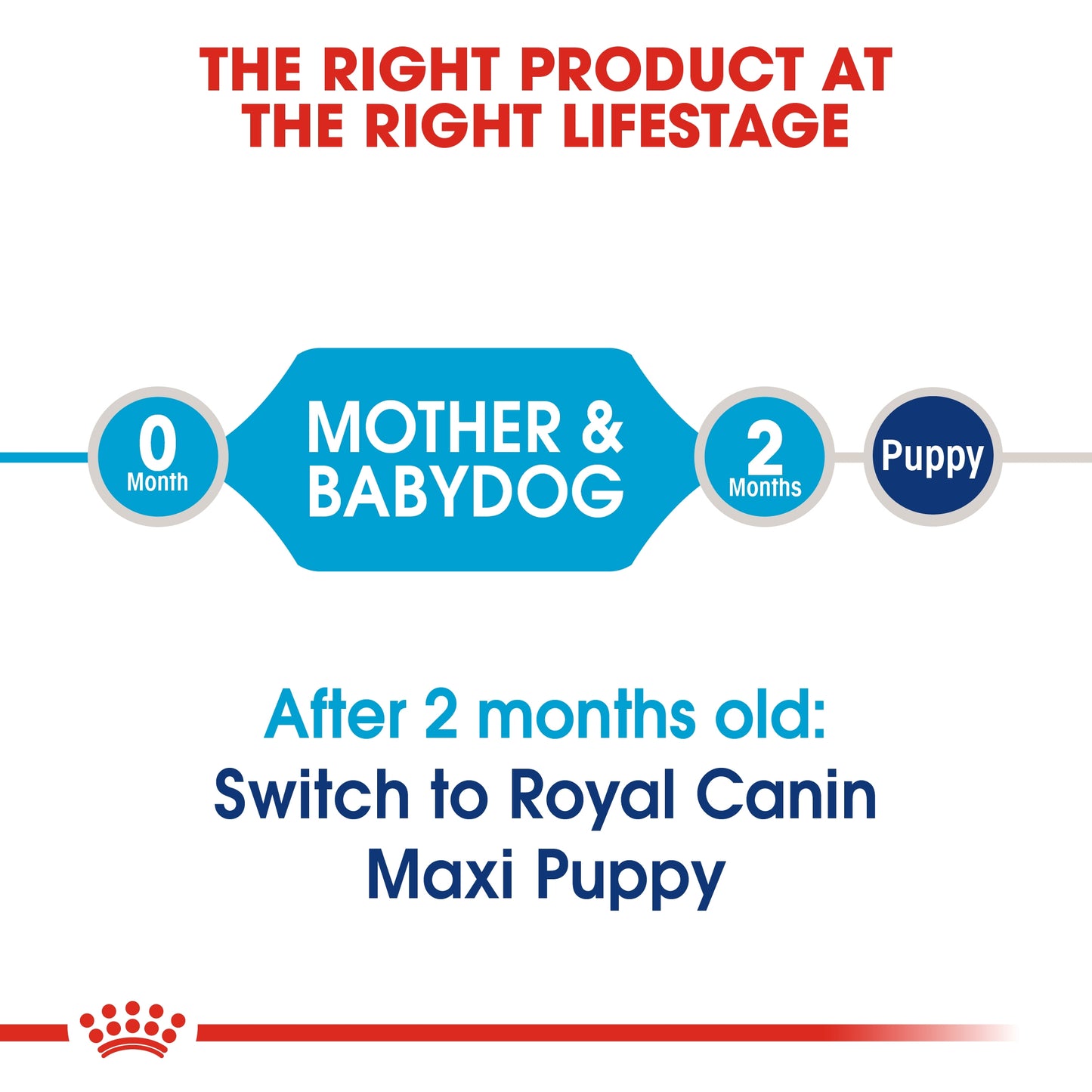 Royal Canin Size Health Maxi Starter Puppy Dry food 4kg