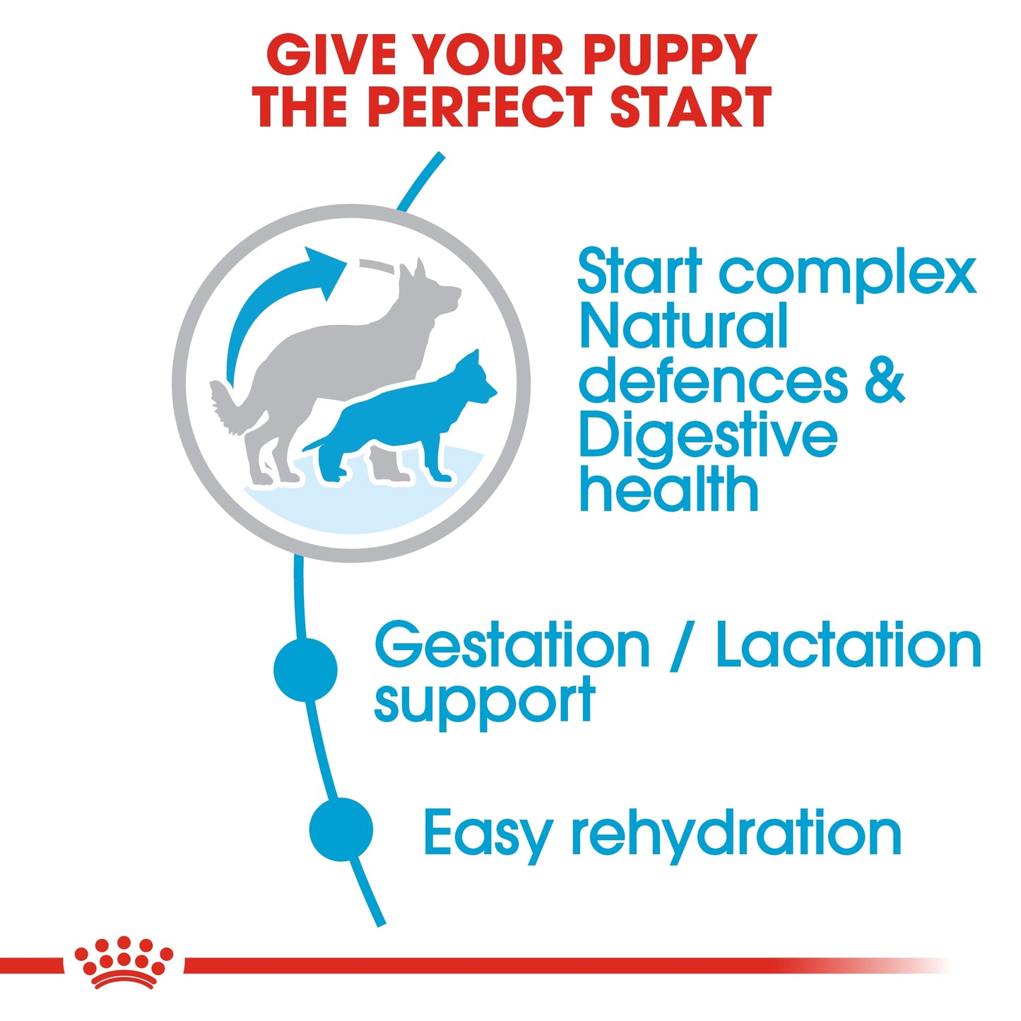 Royal Canin Size Health Maxi Starter Puppy Dry food 4kg