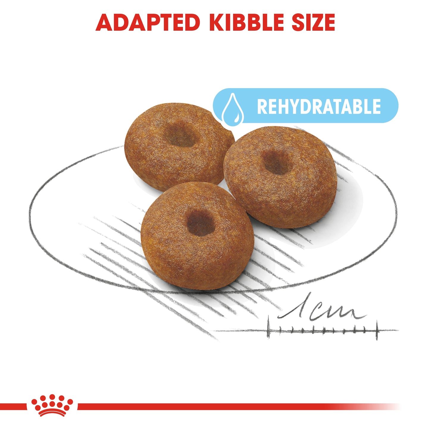 Royal Canin Size Health Maxi Starter Puppy Dry food 4kg