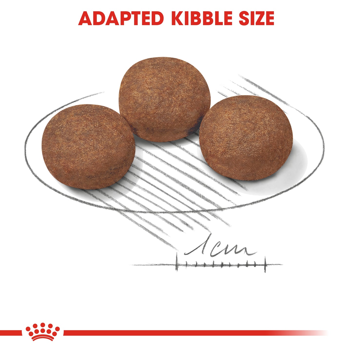 Royal Canin Size Health Medium Puppy Dry food 4kg