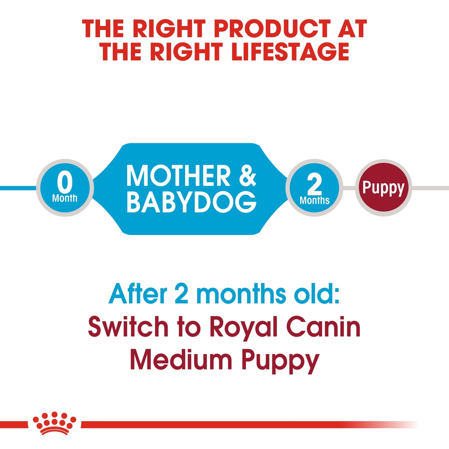 Royal Canin Size Health Medium Starter Dry Dog food 4kg