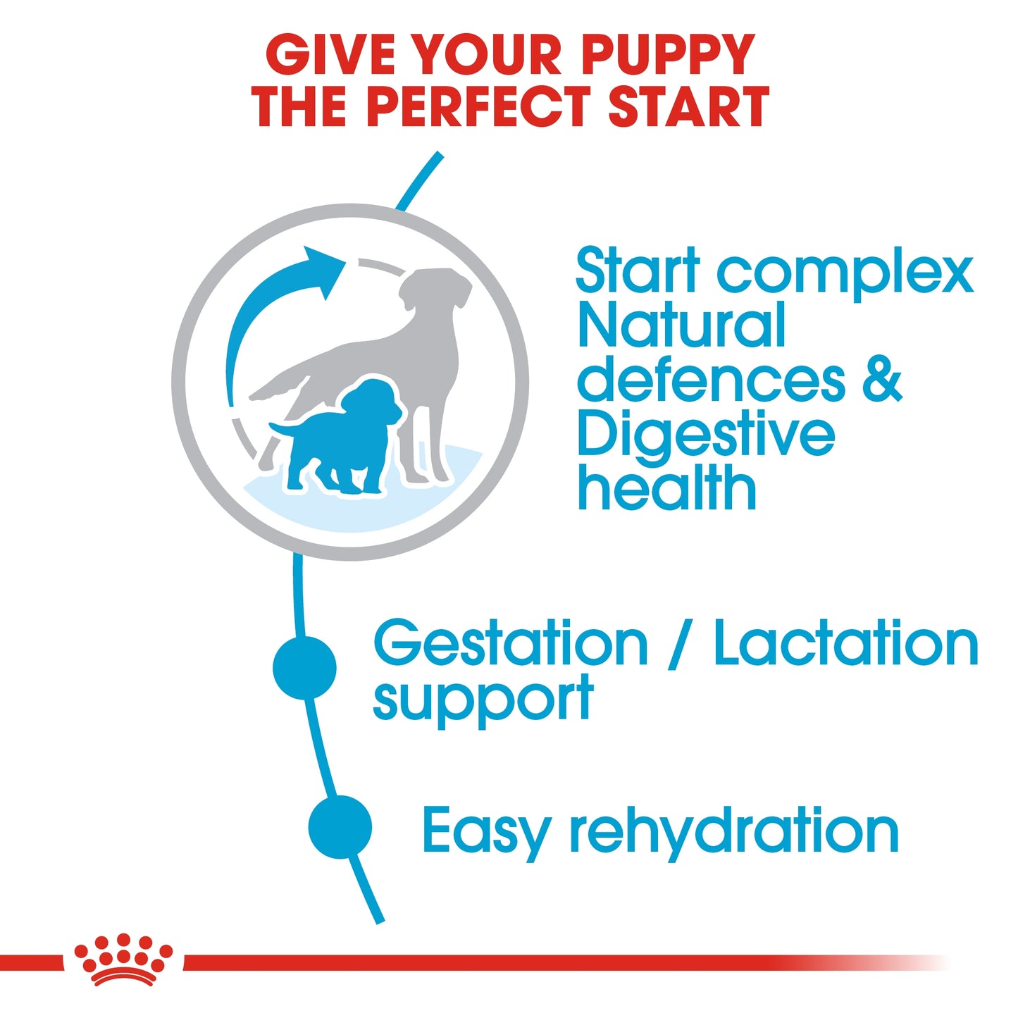 Royal Canin Size Health Medium Starter Dry Dog food 4kg