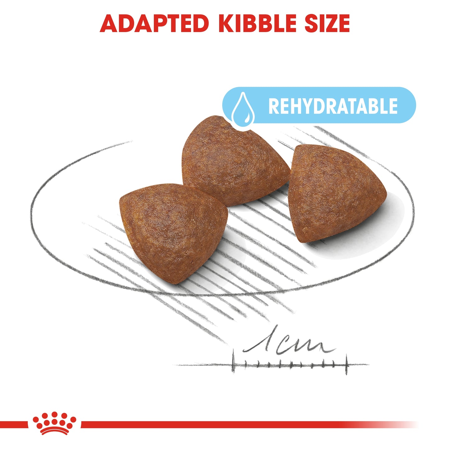 Royal Canin Size Health Medium Starter Dry Dog food 4kg