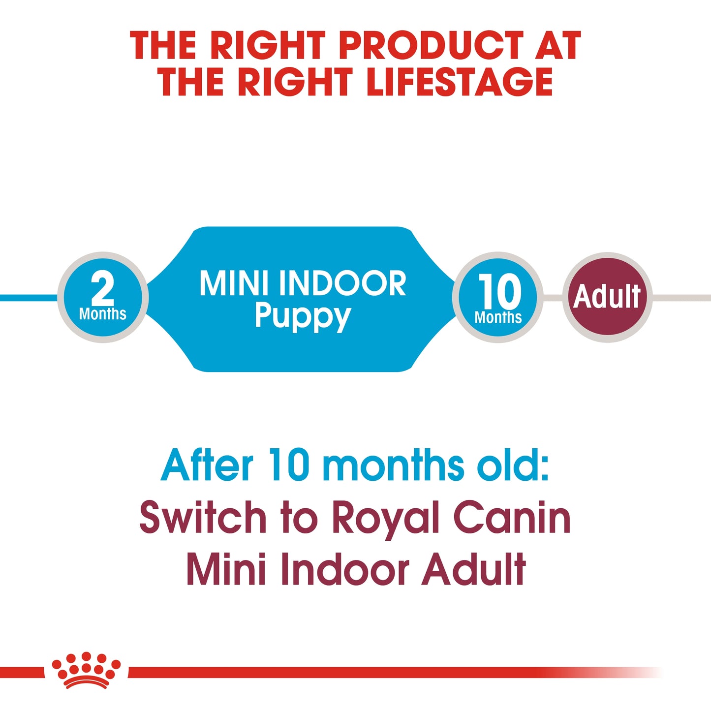 Royal Canin Size Health Mini Indoor Puppy Dry Food 1.5kg