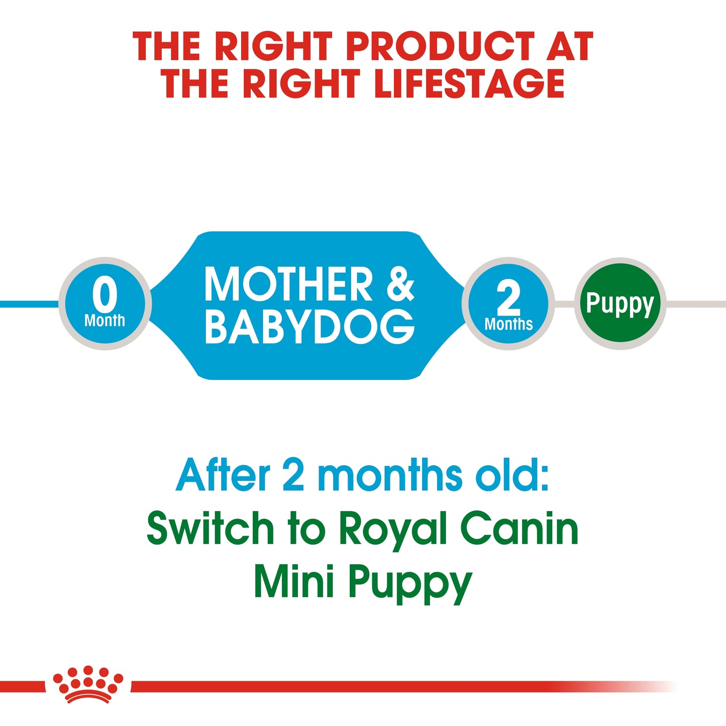 Royal Canin Size Health Mini Starter Dry Dog Food 1kg
