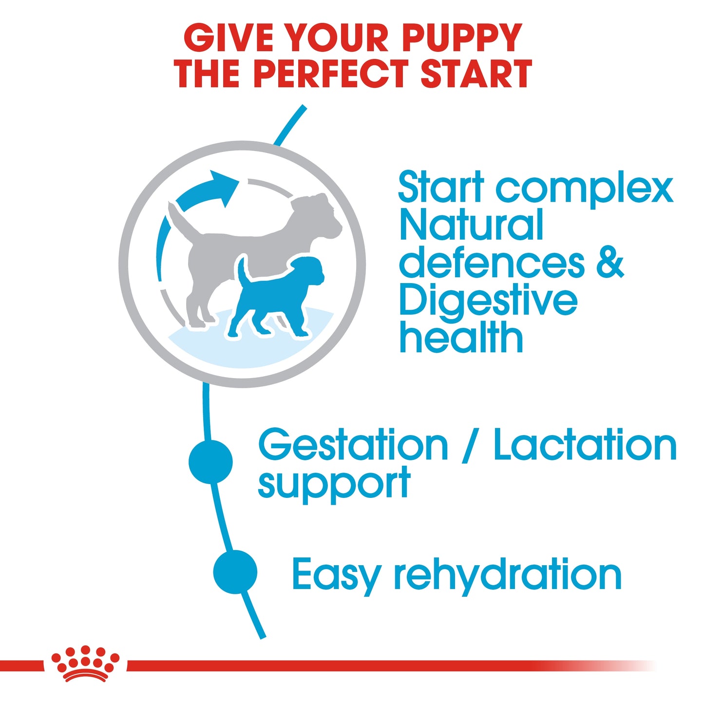 Royal Canin Size Health Mini Starter Dry Dog Food 1kg