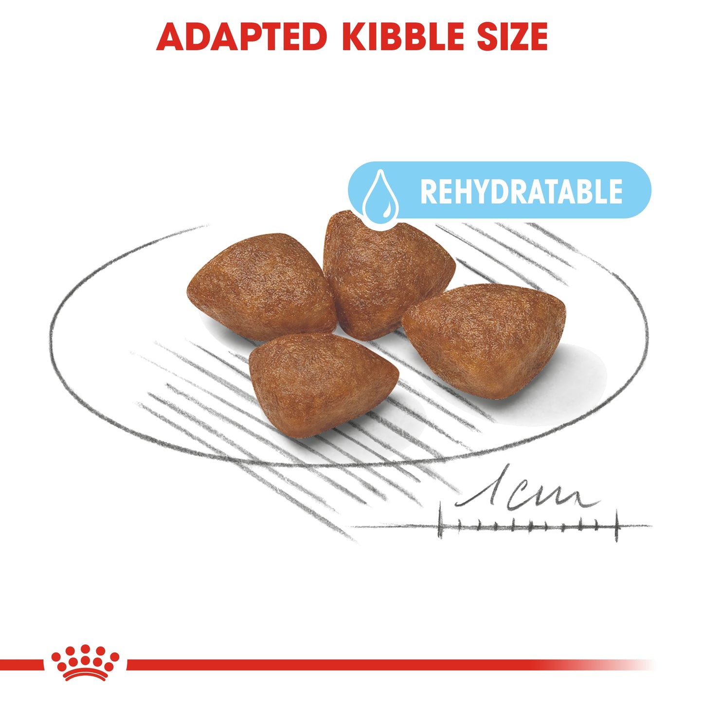 Royal Canin Size Health Mini Starter Dry Dog Food 1kg