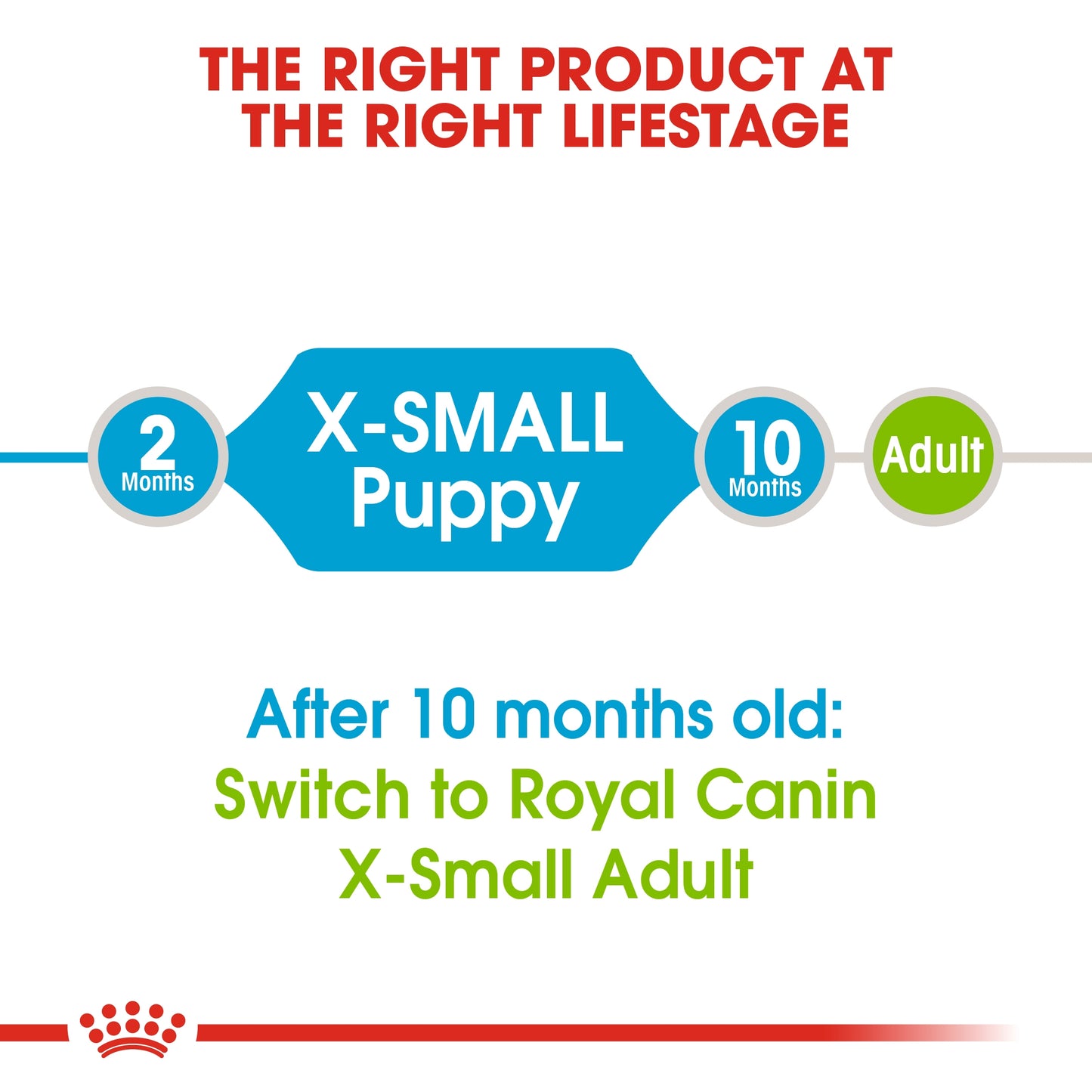 Royal Canin Size Health XS Puppy Dry Dog Food 1.5kg