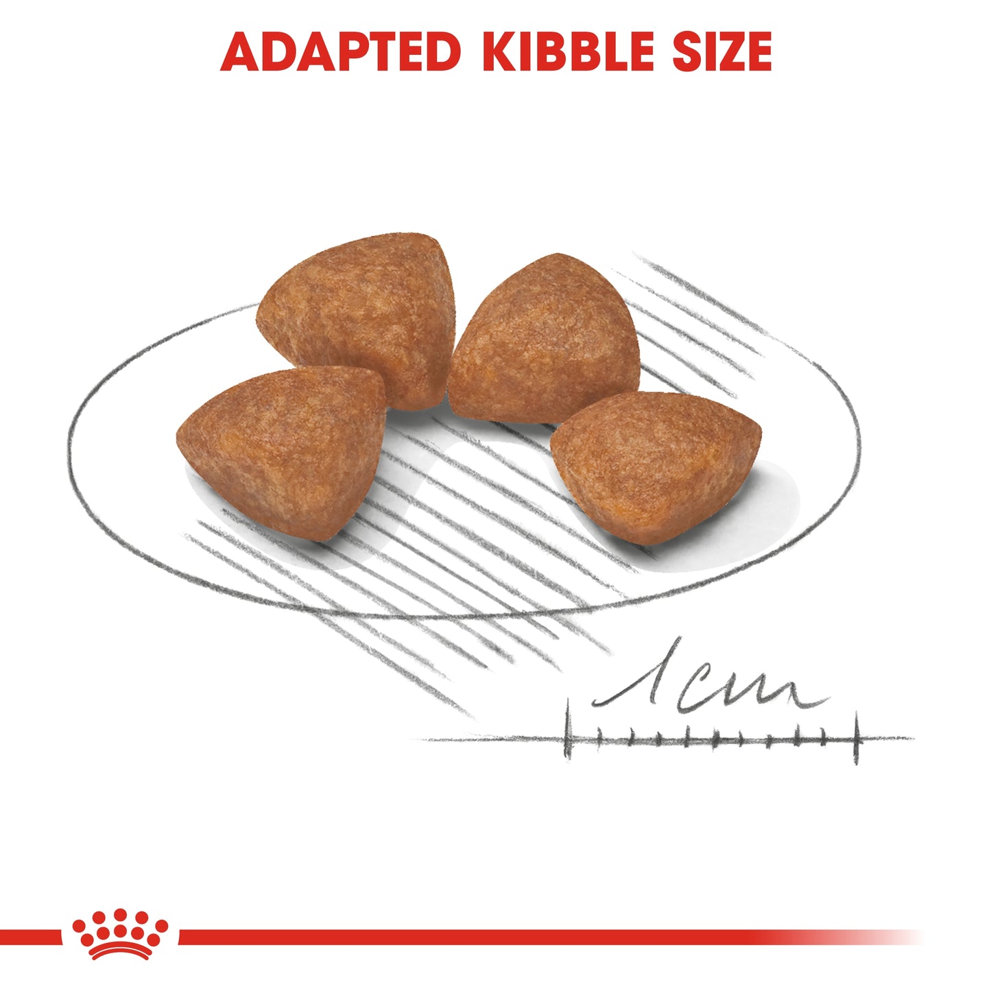 Royal Canin Size Health XS Puppy Dry Dog Food 1.5kg