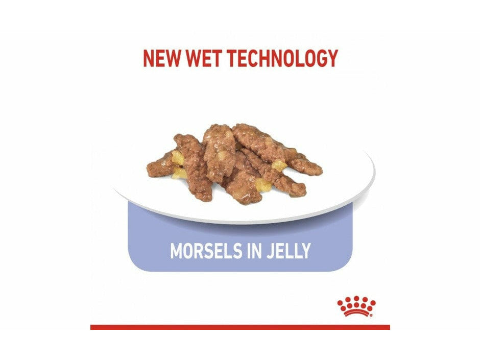 Feline Health Nutrition Indoor Jelly (Wet Food - Pouches)