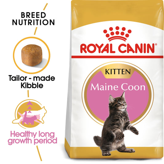 Royal Canin Feline Breed Nutrition Maine Coon Kitten Dry food 2kg