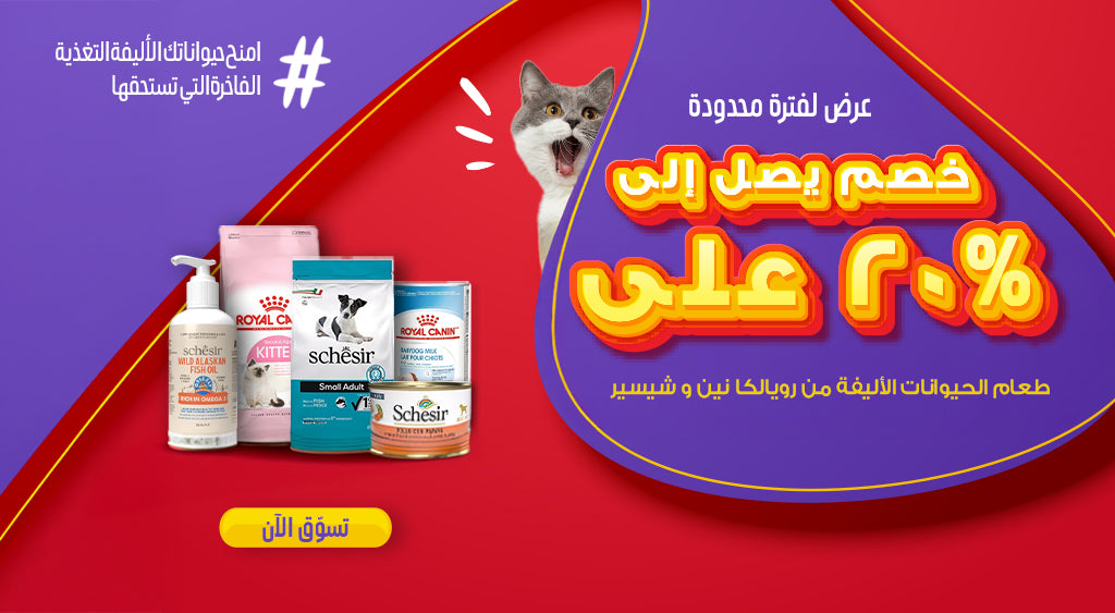 Colorful promotional banner showing up to 20% off on Royal Canin and Schesir pet food, featuring various pet nutrition products and a surprised gray-and-white cat, with a purple and red background highlighting the limited time offer.