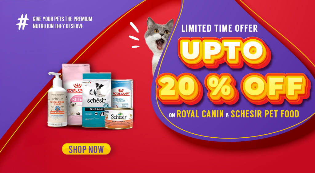 Colorful promotional banner showing up to 20% off on Royal Canin and Schesir pet food, featuring various pet nutrition products and a surprised gray-and-white cat, with a purple and red background highlighting the limited time offer.