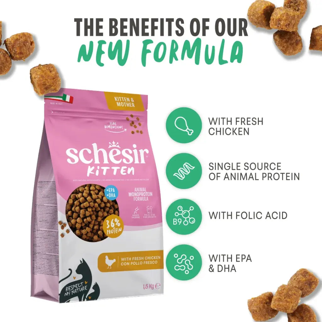 Schesir Monoprotein Kitten & Mother Dry Cat Food Fresh Chicken