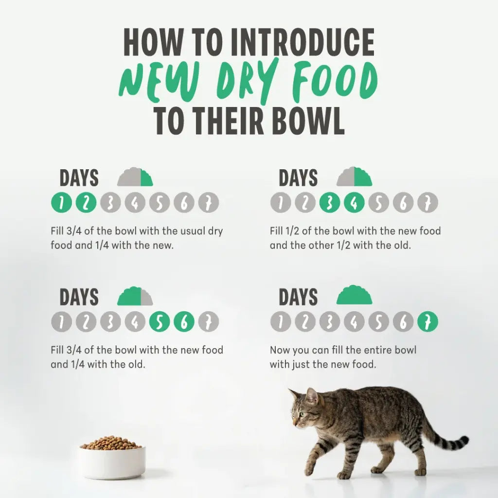 Schesir Monoprotein Kitten & Mother Dry Cat Food Fresh Chicken