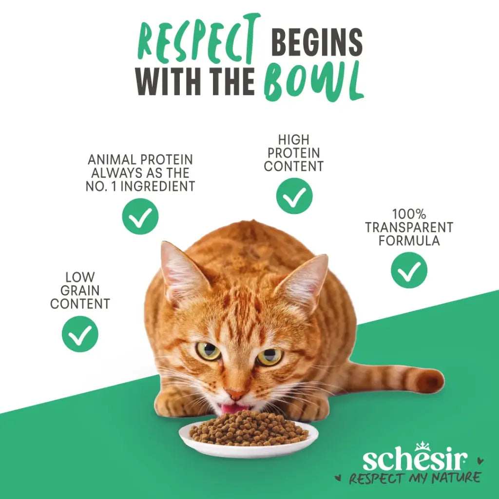 Schesir Monoprotein Kitten & Mother Dry Cat Food Fresh Chicken