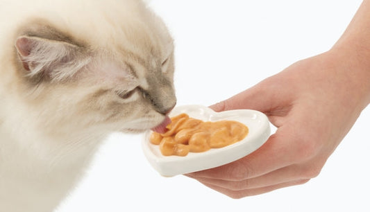 Catit Creamy Lickable Cat Treats ‚Salmon & Prawns, 4x10g