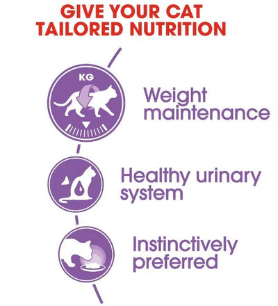 Royal Canin Feline Health Nutrition Sterilised Gravy (wet food)
