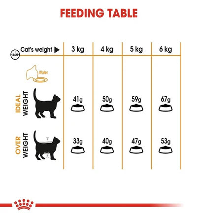 Royal Canin Feline Care Nutrition Hair & Skin Cat Dry food - 400g