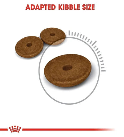 Royal Canin Feline Care Nutrition Digestive Care Cat Dry food