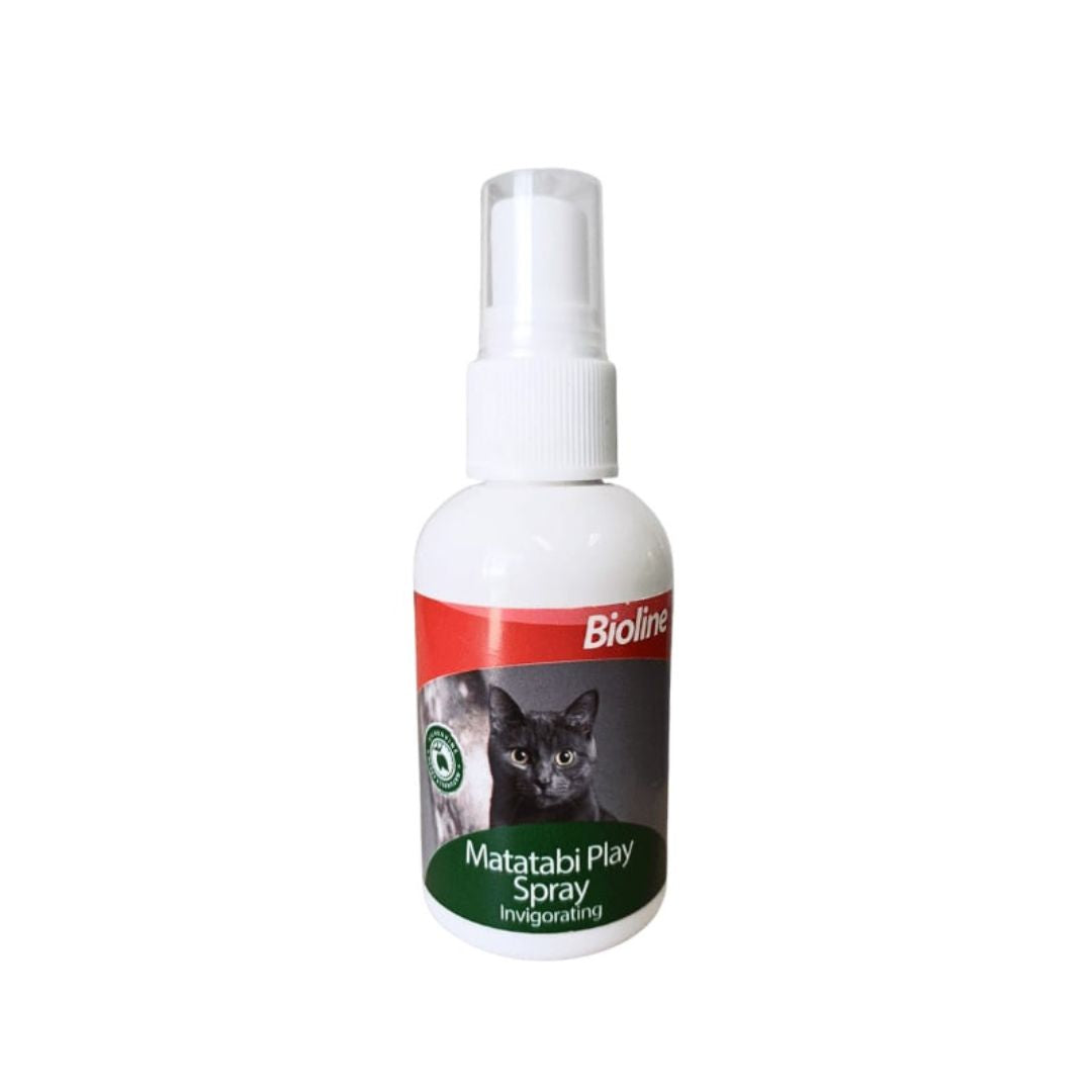 Bioline Matatabi Play Spray – Fun Play Spray for Cats