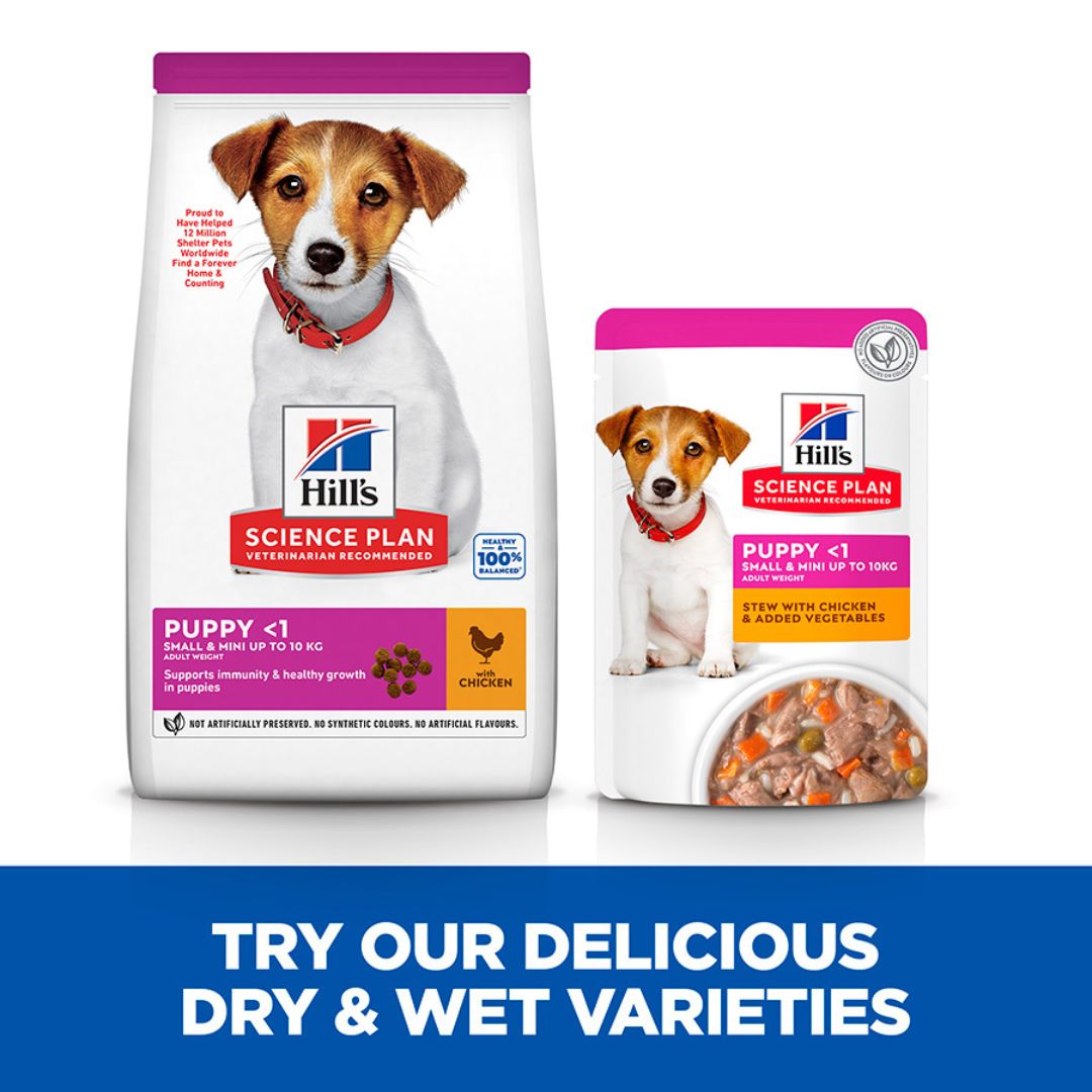 Hill’s Science Plan Puppy Small & Mini Breed – Chicken – 1.5kg