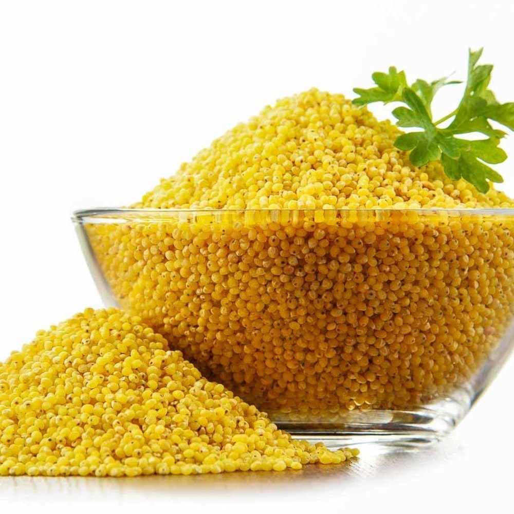 Pado Yellow Millet Sprayweight: 250G