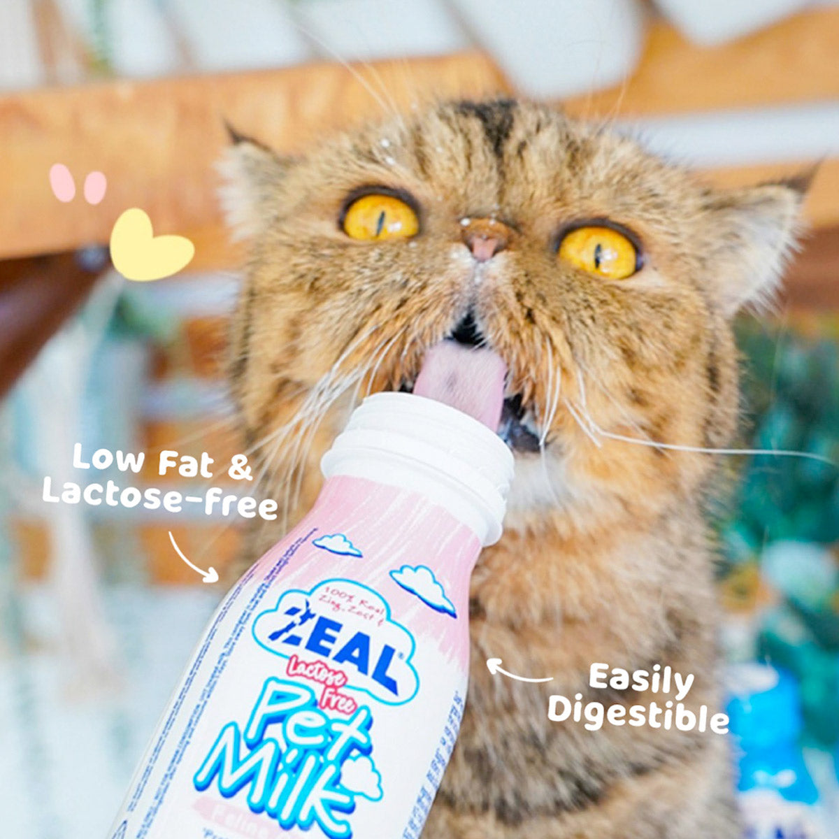 Zeal Cat Milk ‚255ml Lactose-Free Feline Nutritional Care