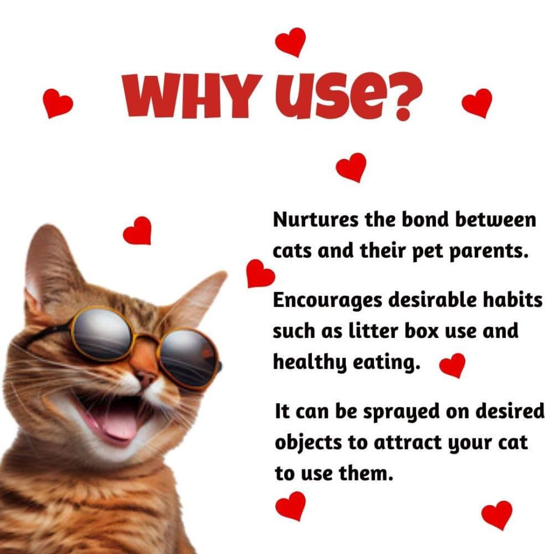 Duvo+ Catnip Spray for Cats – Natural Play Stimulator