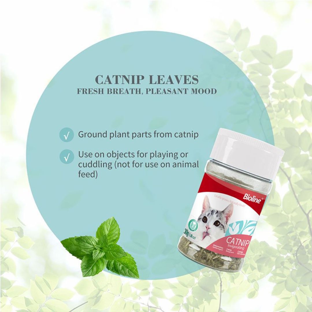 Bioline Catnip – Natural Dried Catnip for Play & Training